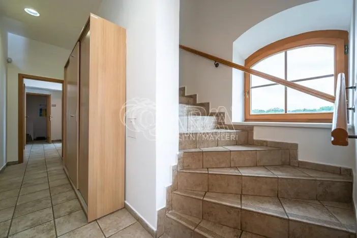 Pronájem obchodního prostoru, Mladá Boleslav - Mladá Boleslav I, Vodkova, 298 m2