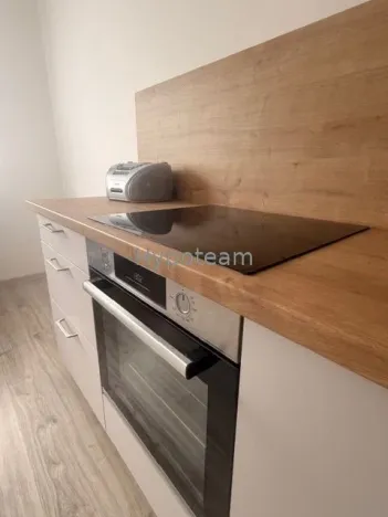 Pronájem bytu 1+1, Ústí nad Labem - Severní Terasa, Švestková, 34 m2