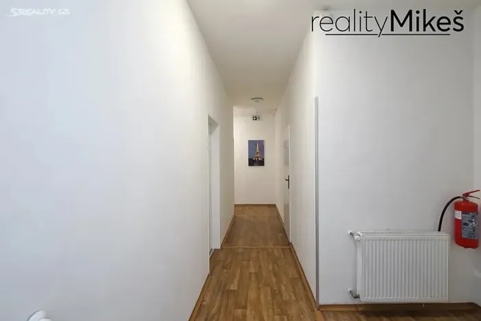 Pronájem ubytování, Dobrovice, 500 m2