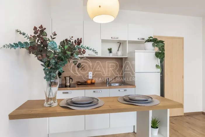 Pronájem bytu 1+kk, Praha - Stodůlky, Holýšovská, 12052 m2