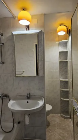 Pronájem bytu 2+1, Ostrava - Výškovice, Šeříková, 43 m2