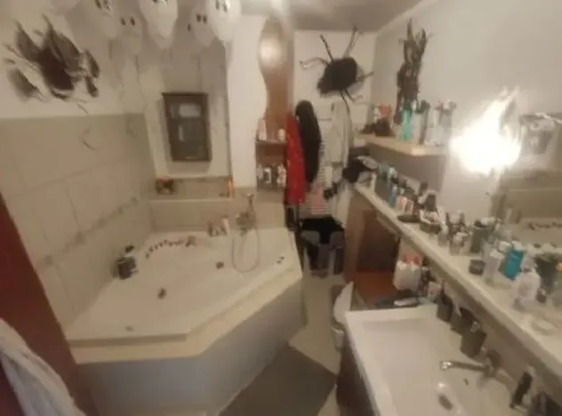 Dražba rodinného domu, Frýdek-Místek, Palkovická, 187 m2