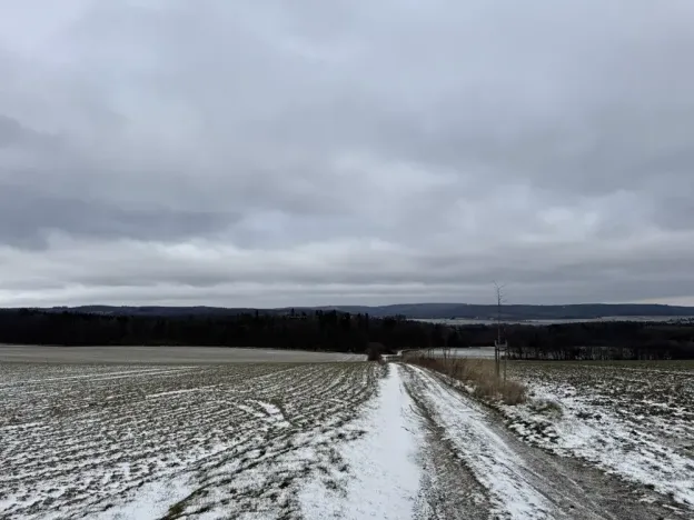 Dražba pole, Vyškov, 89174 m2
