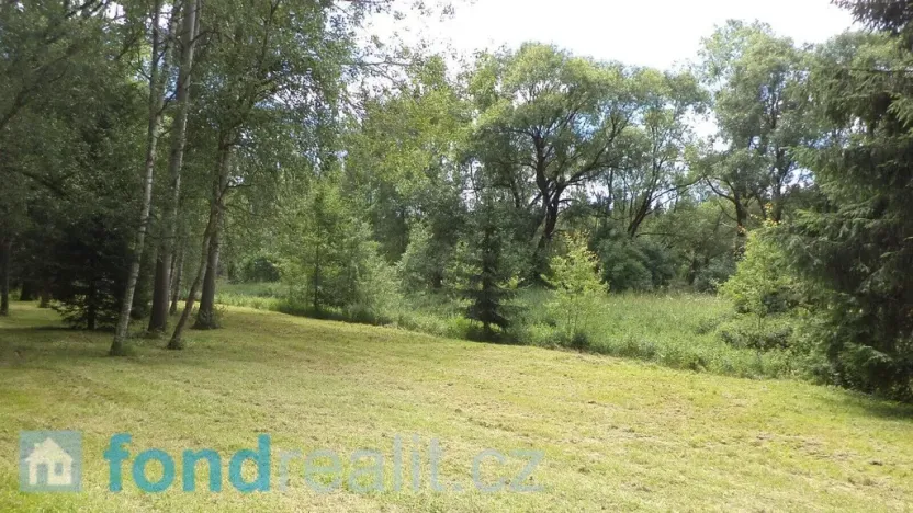 Prodej pozemku, Sobíňov, 3617 m2