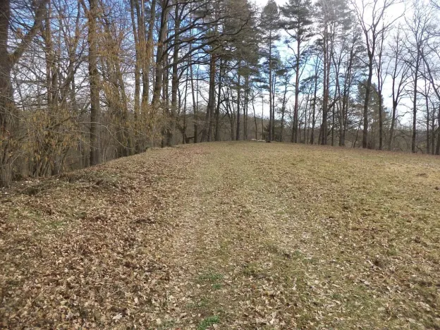 Prodej pozemku, Novosedly nad Nežárkou, 6591 m2
