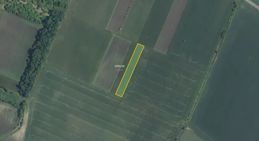 Prodej pole, Novosedly, 3161 m2