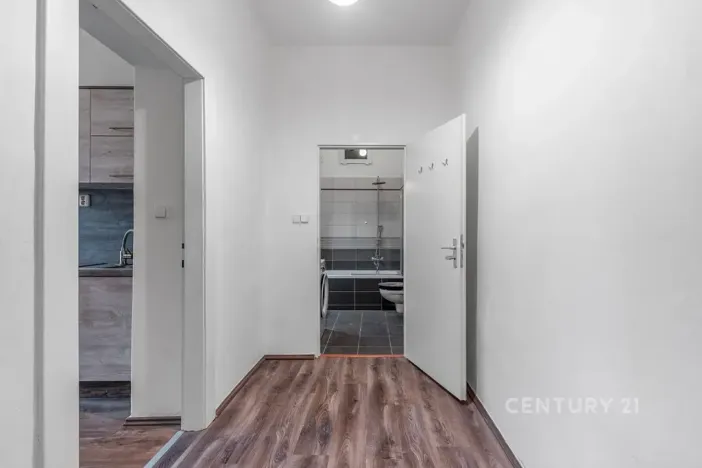 Pronájem bytu 1+1, Praha - Braník, Nad malým mýtem, 39 m2