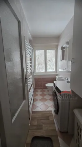 Pronájem bytu 1+1, Opava - Předměstí, Těšínská, 35 m2