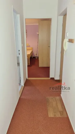 Pronájem bytu 1+1, Opava - Předměstí, Těšínská, 35 m2