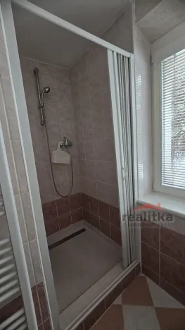 Pronájem bytu 1+1, Opava - Předměstí, Těšínská, 35 m2