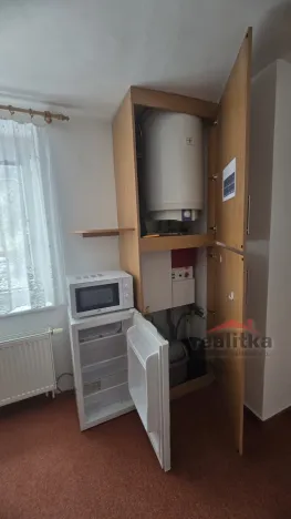 Pronájem bytu 1+1, Opava - Předměstí, Těšínská, 35 m2