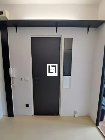 Pronájem bytu 1+kk, Brno, Halasovo náměstí, 24 m2