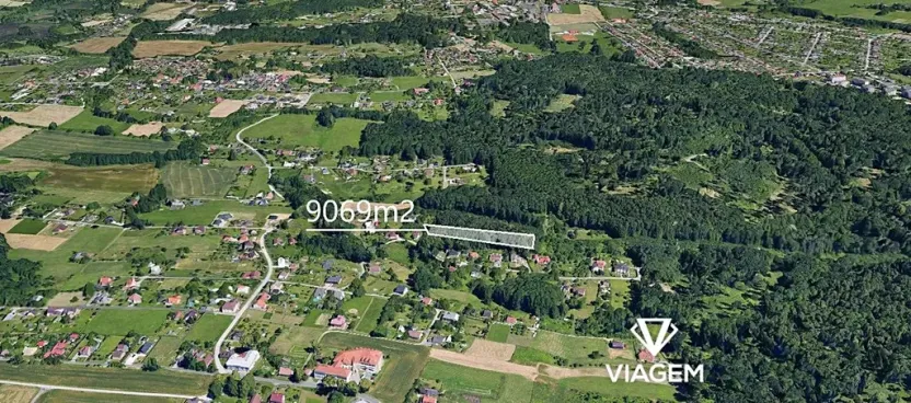 Prodej lesa, Rychvald, 9069 m2