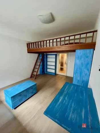 Prodej bytu 1+1, Praha - Žižkov, Malešická, 27 m2