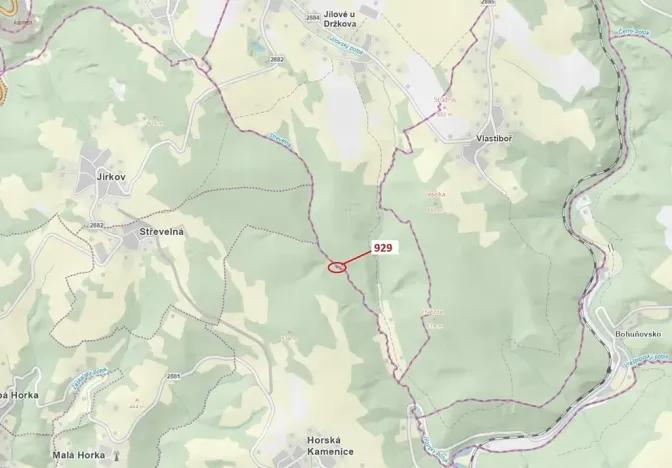 Dražba lesa, Jílové u Držkova, 151 m2