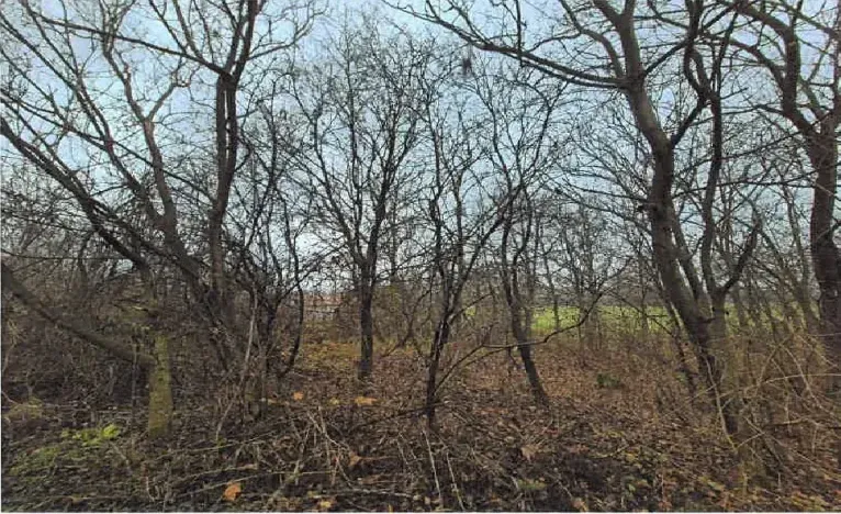 Dražba komerčního pozemku, Radějov, 3231 m2