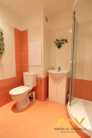 Pronájem bytu 1+kk, Hradec Králové - Pražské Předměstí, Hrubínova, 39 m2