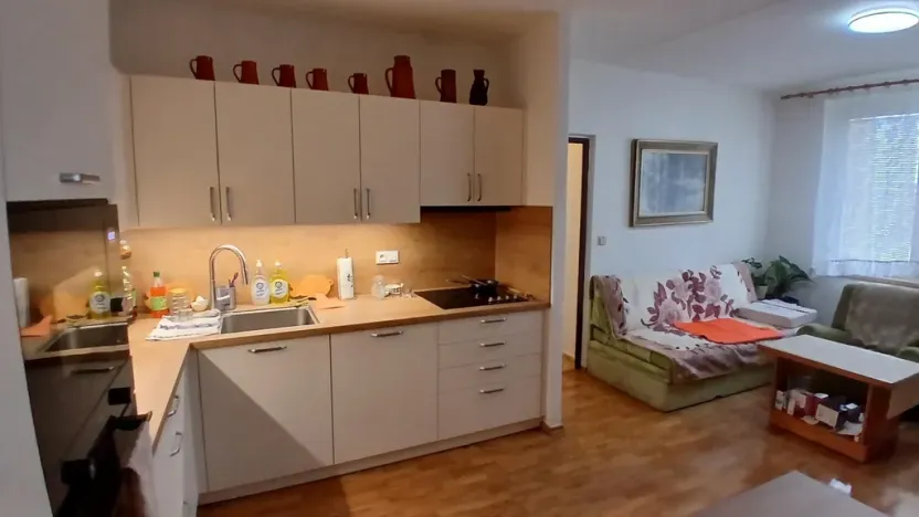 Prodej bytu 2+kk, Brno - Bohunice, Neužilova, 45 m2