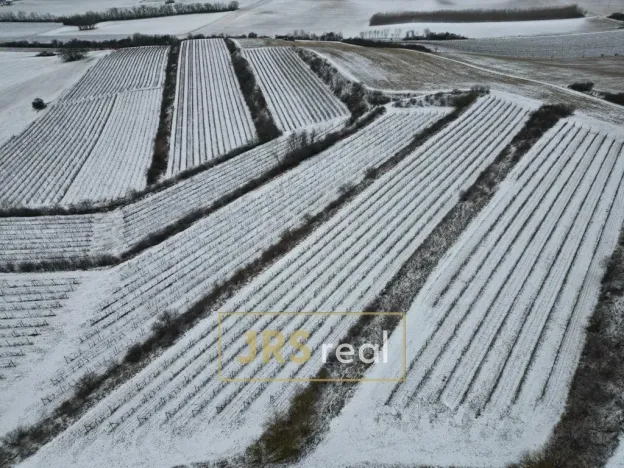 Prodej pozemku, Sedlec, 6224 m2