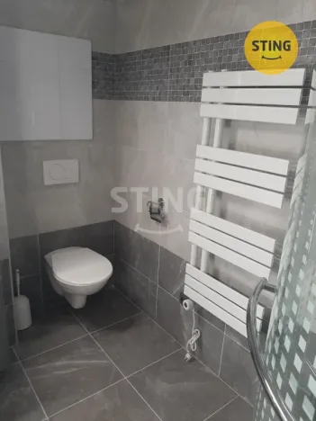 Pronájem bytu 1+1, Přerov, tř. 17. listopadu, 43 m2