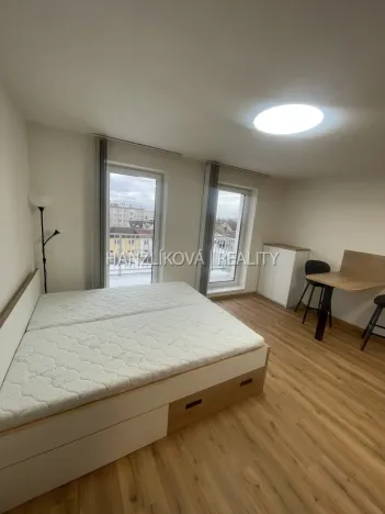 Pronájem bytu 1+kk, České Budějovice, Dobrovodská, 32 m2