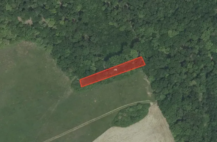 Prodej louky, Nesvačily, 9239 m2