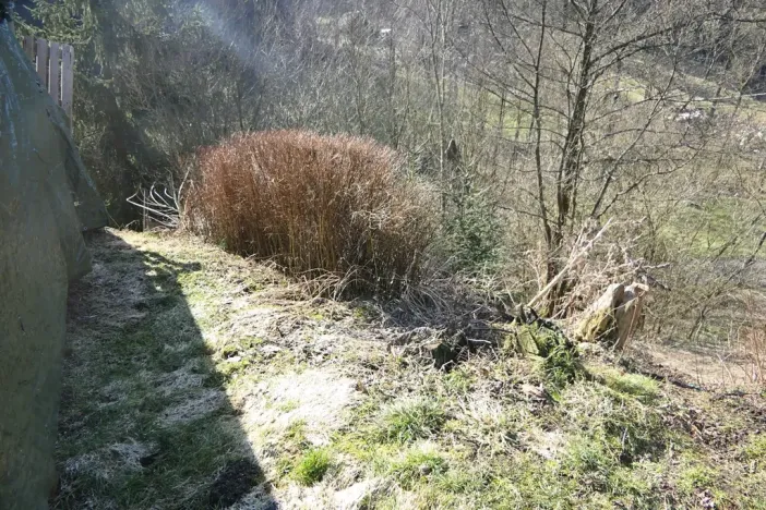 Prodej pozemku, Cetenov, 201 m2