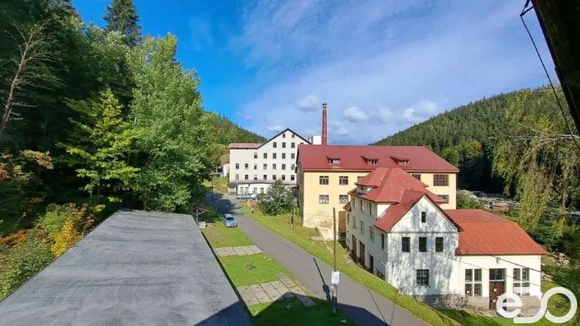 Pronájem bytu 1+kk, Kořenov, 29 m2