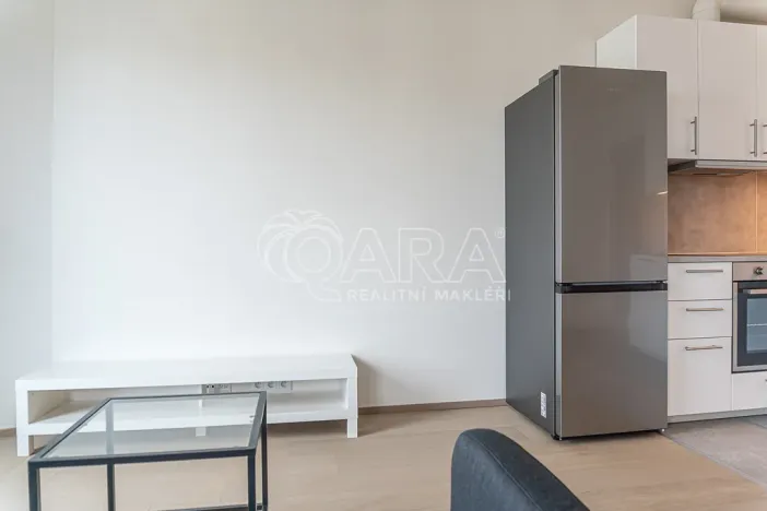 Pronájem bytu 2+kk, Praha - Žižkov, Olgy Havlové, 51 m2