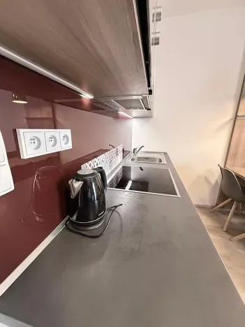 Prodej bytu 1+kk, Dolní Morava - Velká Morava, 54 m2