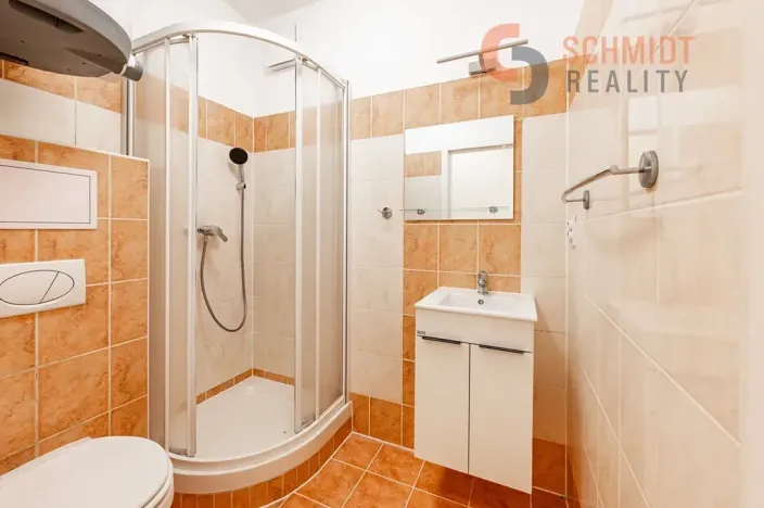 Pronájem bytu 1+kk, Břeclav, 21 m2