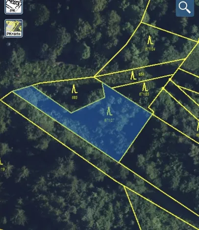 Prodej lesa, Jedlí, 1198 m2