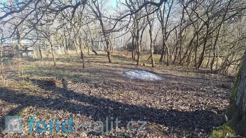 Prodej zahrady, Slavonice, 634 m2