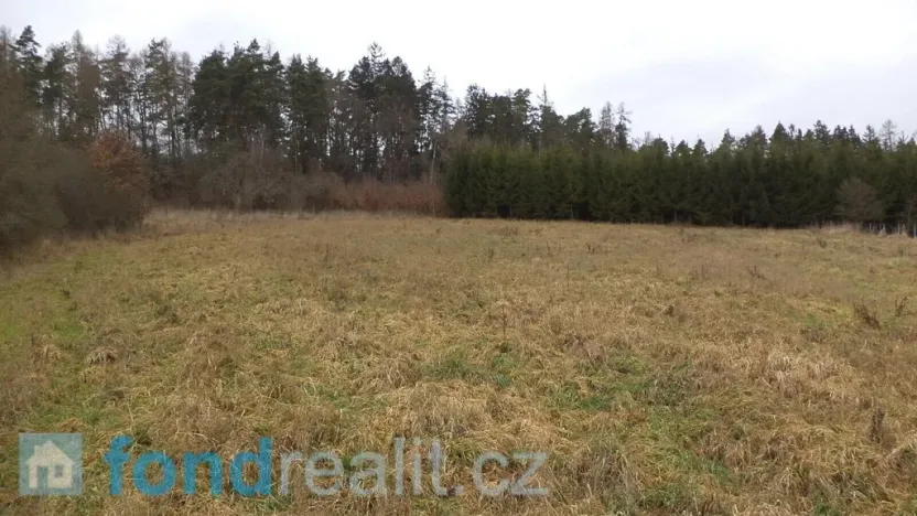 Prodej pole, Srby, 24690 m2