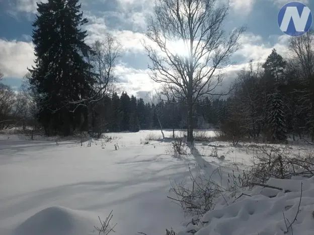 Prodej pozemku pro bydlení, Strážný, 2500 m2