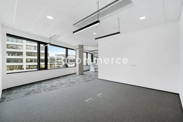 Pronájem kanceláře, Brno, 310 m2