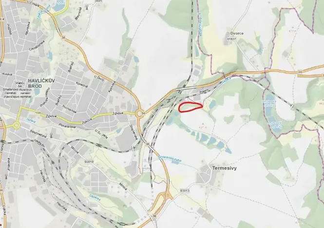 Prodej lesa, Havlíčkův Brod, 11144 m2