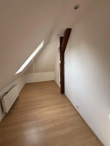 Pronájem rodinného domu, Ostrava, Křížkovského, 300 m2