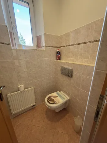 Pronájem rodinného domu, Ostrava, Křížkovského, 300 m2