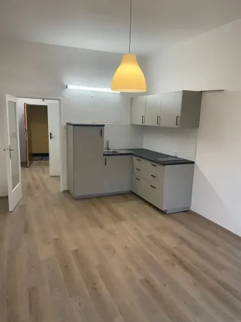 Pronájem bytu 1+kk, Praha - Nusle, Kloboučnická, 28 m2