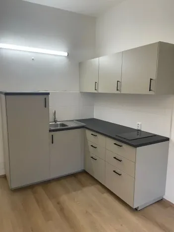 Pronájem bytu 1+kk, Praha - Nusle, Kloboučnická, 28 m2