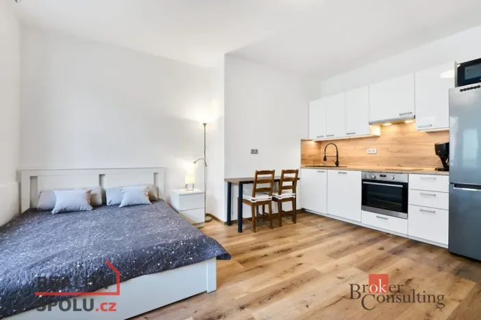 Pronájem bytu 1+kk, Brno - Trnitá, Špitálka, 30 m2