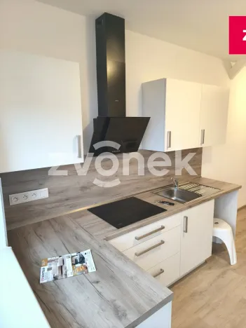 Pronájem bytu 2+kk, Holešov, Palackého, 55 m2