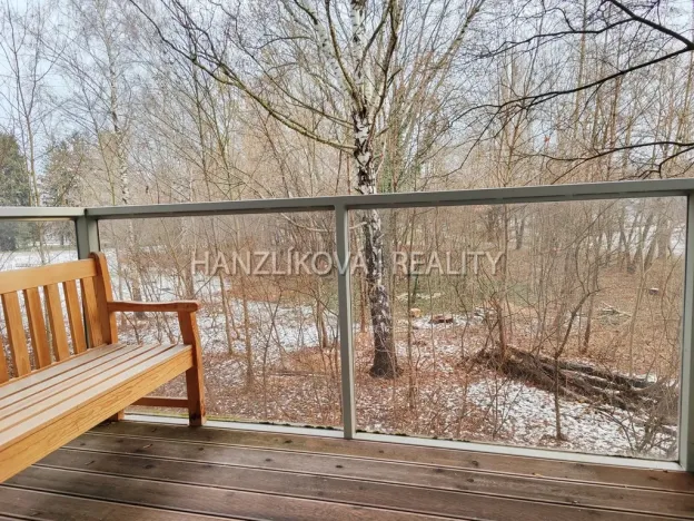 Pronájem bytu 1+kk, České Budějovice - České Budějovice 2, Volejbalistů, 42 m2