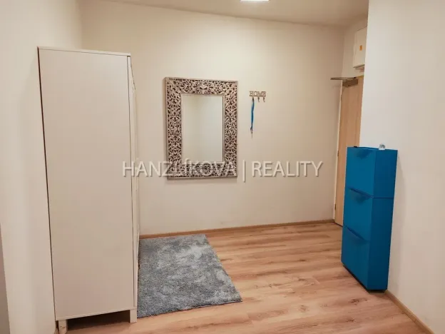 Pronájem bytu 1+kk, České Budějovice - České Budějovice 2, Volejbalistů, 42 m2