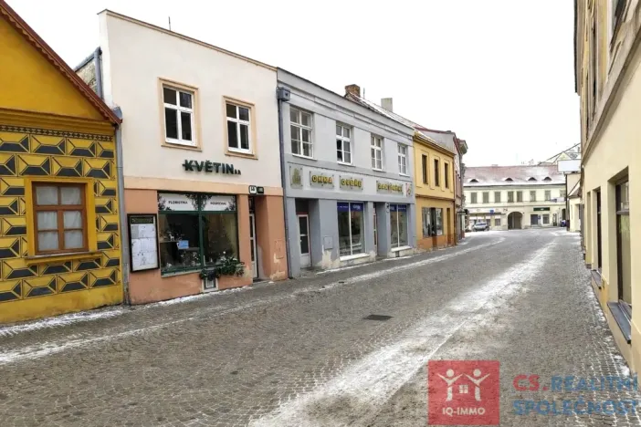 Prodej obchodního prostoru, Znojmo, Velká Michalská, 326 m2
