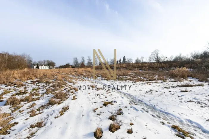 Prodej komerčního pozemku, Skalná, 10095 m2