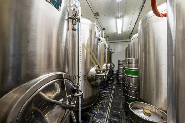 Prodej ubytování, Letiny, 646 m2