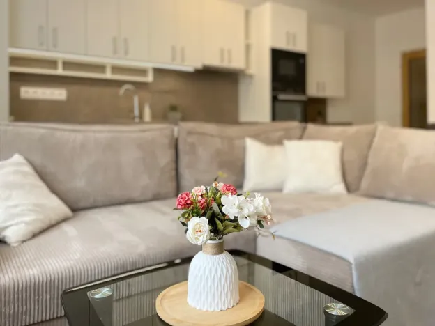 Pronájem bytu 2+kk, Olomouc - Slavonín, Topolová, 56 m2