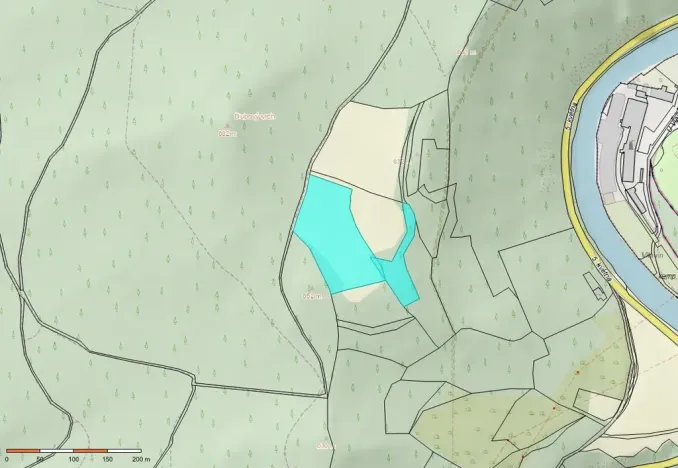 Prodej pole, Český Krumlov - Vnitřní Město, náměstí Svornosti, 16536 m2